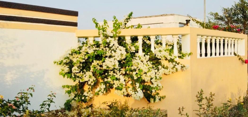 Royal Meadows - Igatpuri Bungalow B Luaran gambar